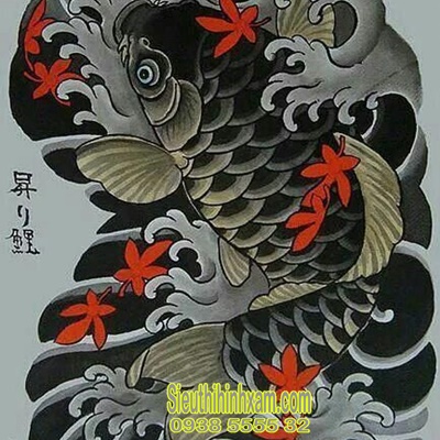 Quy luật Âm Dương Ngũ Hành của cá koi Nhật  Yin yang tattoos Koi tattoo  Art tattoo