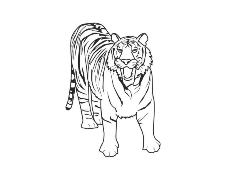 Tổng hợp tranh tô màu con hổ oai hùng nhất Update 2023