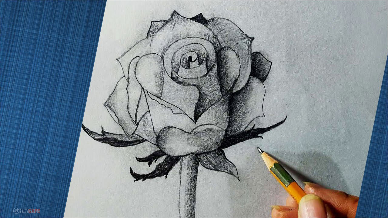 Cách vẽ đẹp bằng bút chì đỉnh cao cho người mới